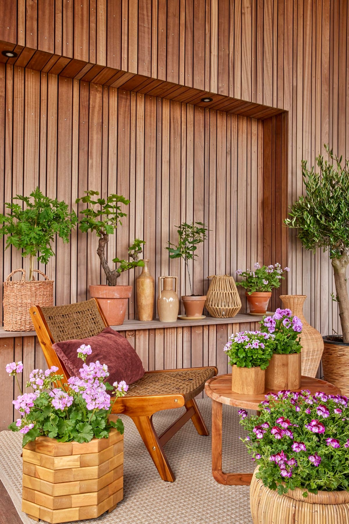 Plant-filled wooden patio with relaxed timber furniture